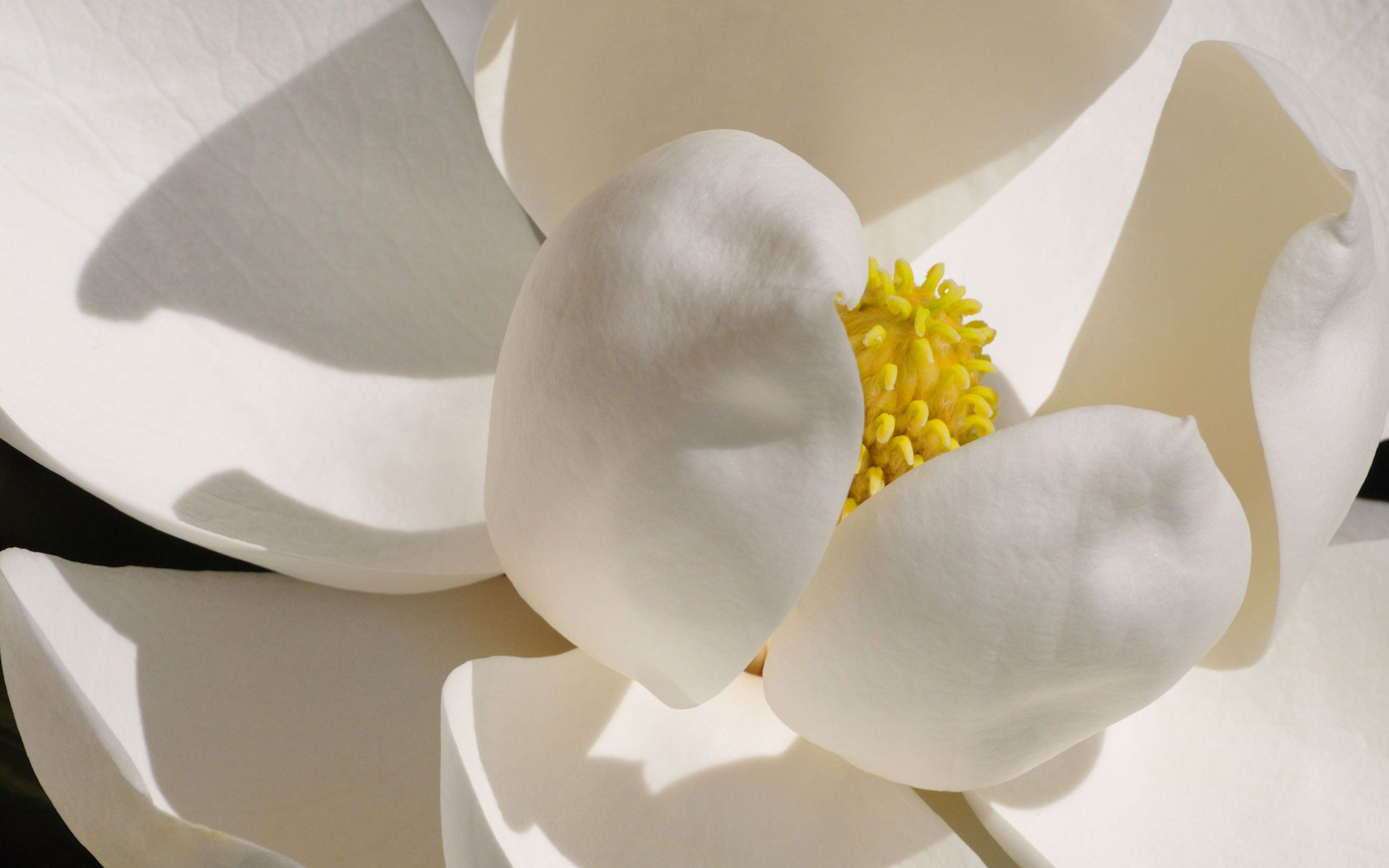 Bloom-inspiration-Haberadshery-slideshow-1-scaled