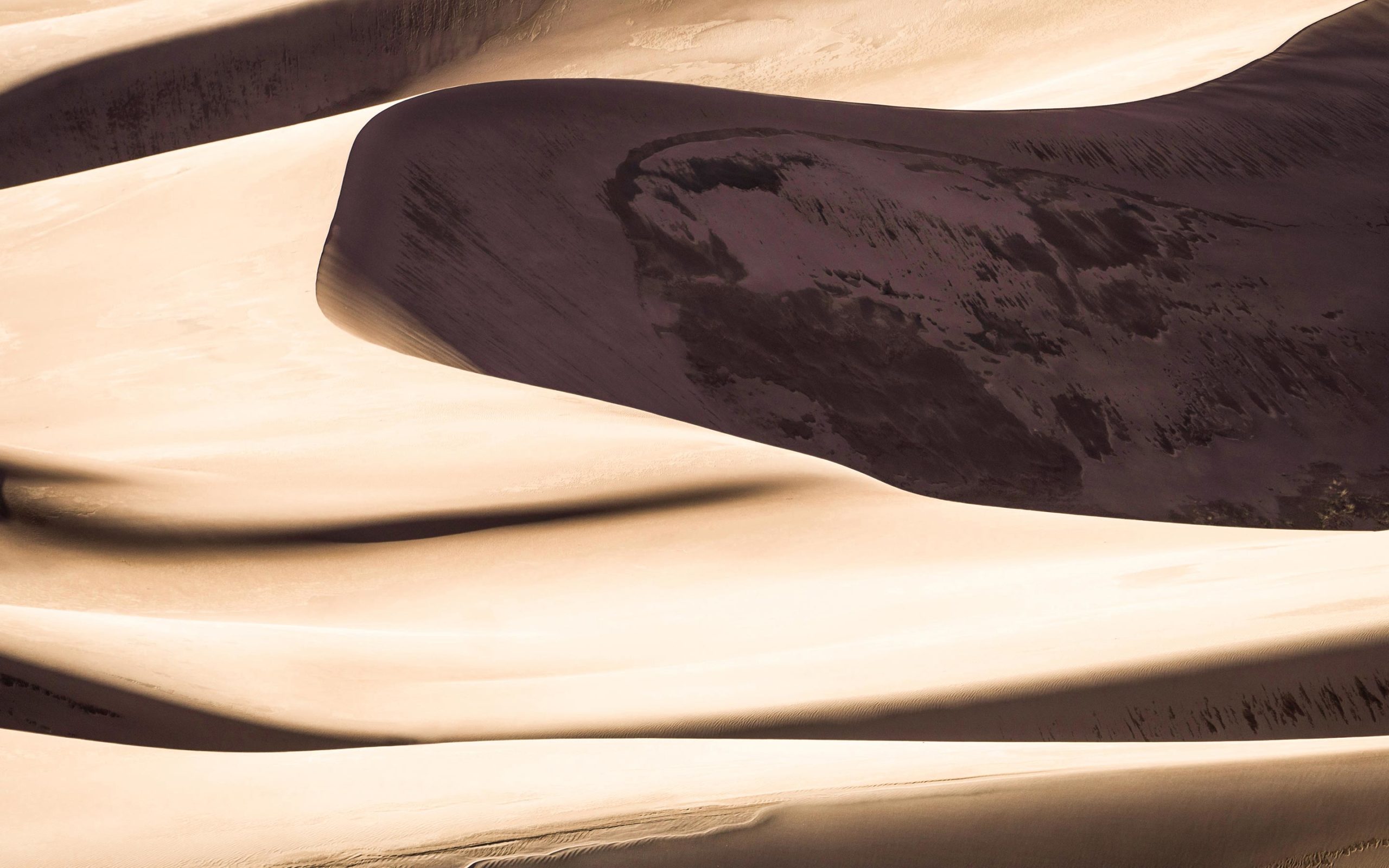 Sand-Sea-Inspiration-Haberdashery-lionello-delpiccolo-slideshow-scaled